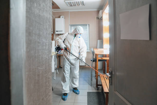 Best Crawl Space Mold Remediation  in Lewiston, MN