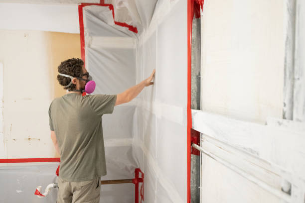 Best Forensic Mold Investigation  in Lewiston, MN
