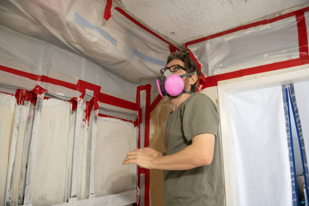 Best Real Estate Mold Inspection  in Lewiston, MN