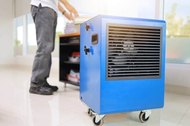 Best Indoor Air Quality Assessment  in Lewiston, MN