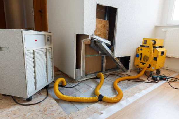 Best Indoor Air Quality Assessment  in Lewiston, MN