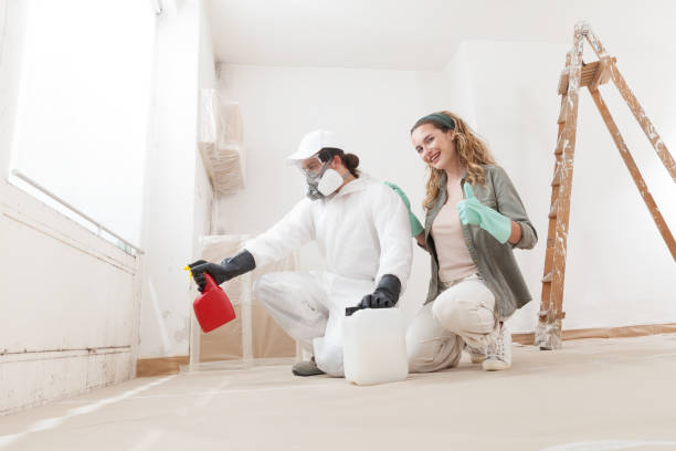 Best Water Damage & Mold Remediation  in Lewiston, MN