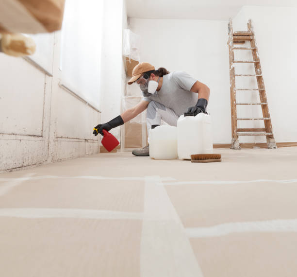  Lewiston, MN Mold Removal Pros